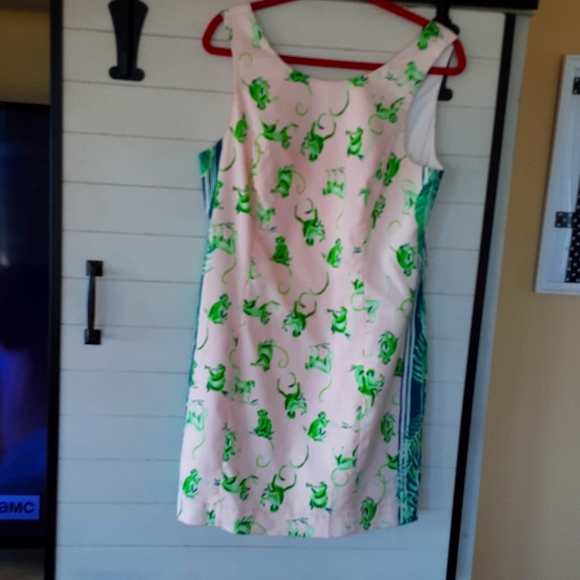 - lilly pulitzer fun fun dress - Picture 2 of 8